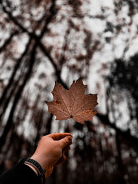 Autumn landscape