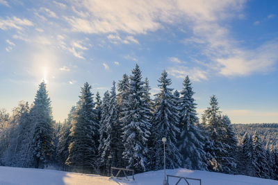 Trees on snow covered landscape against sky