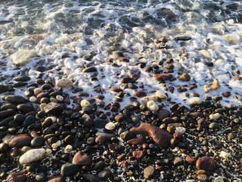 High angle view of stones at beach