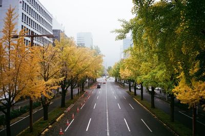 Road amidst trees in city against sky