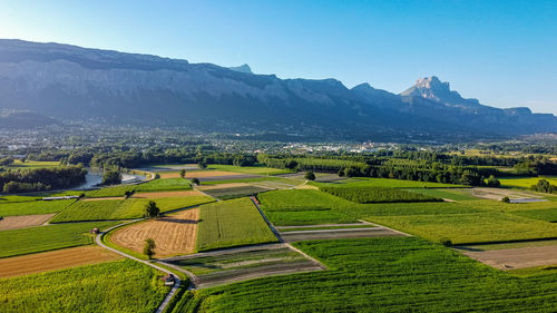 Scenic view of agricultural field against sky