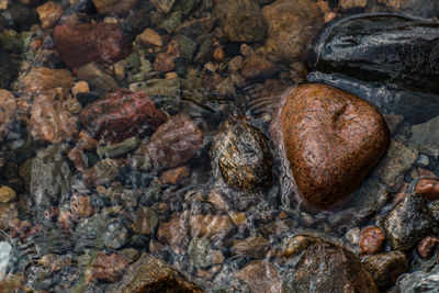 High angle view of rocks in lake