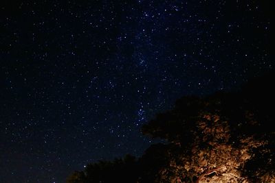 night