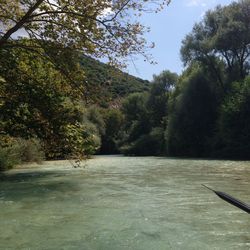 Scenic view of river with trees in background