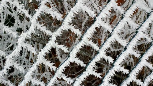 Full frame shot of snow on field