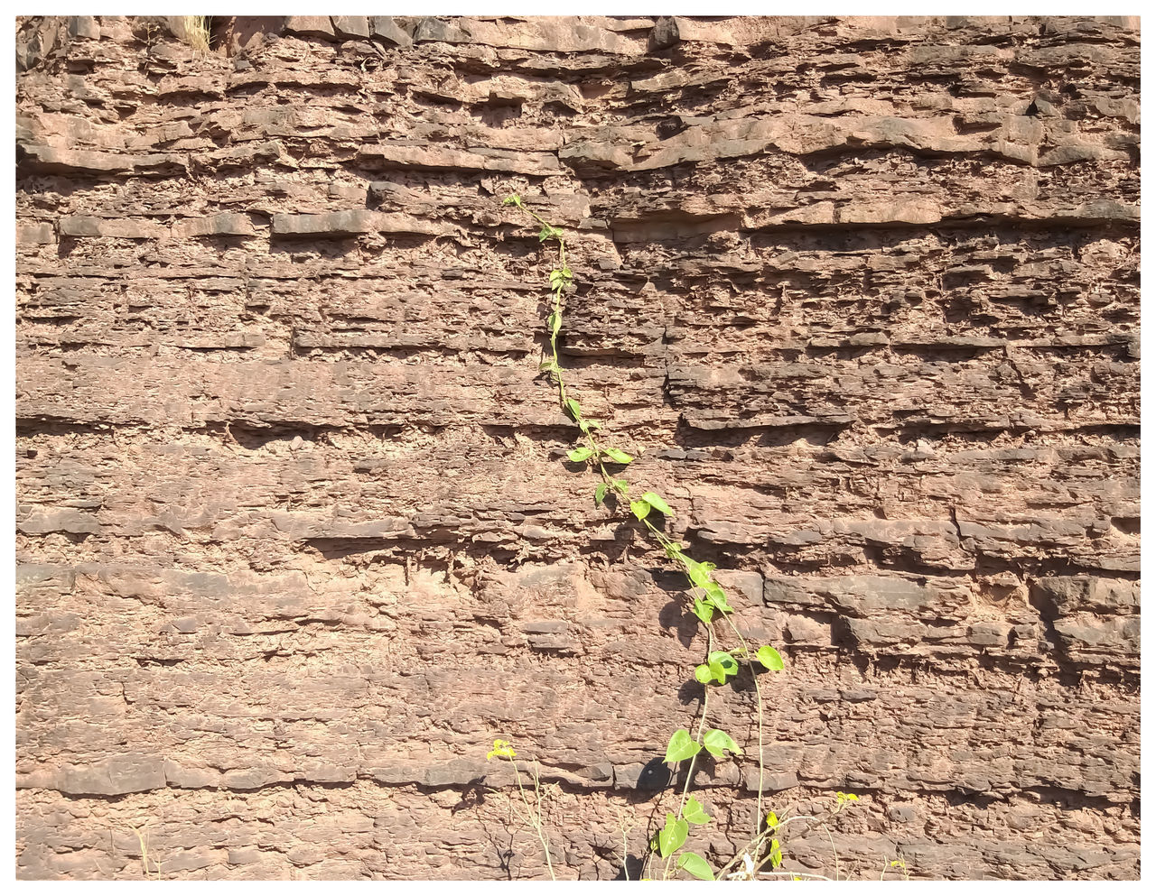 FULL FRAME SHOT OF WALL WITH STONE