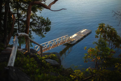 High angle view of plants by sea