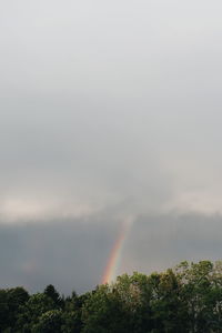Scenic view of rainbow over trees against sky