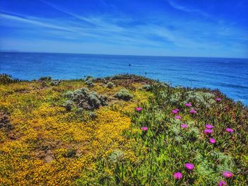 Scenic view of sea against sky