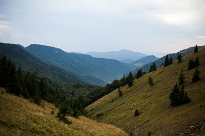 Scenic view of landscape and mountains against sky