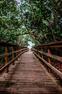 View of footbridge in forest