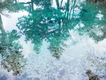 Full frame shot of swimming pool