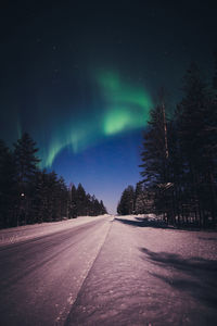 Road amidst trees against sky at night during winter