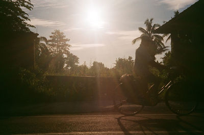 Man riding bicycle by trees against sky