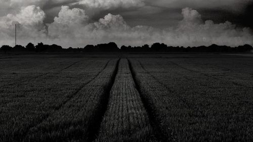 Panoramic view of field against sky