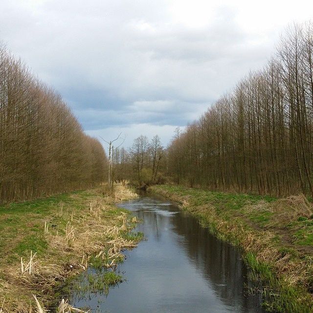 sky, tranquility, tranquil scene, grass, water, tree, cloud - sky, scenics, nature, the way forward, beauty in nature, cloud, landscape, cloudy, bare tree, stream, river, plant, growth, field