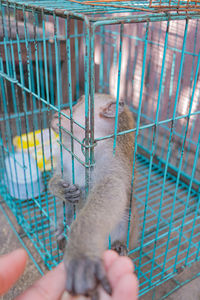 Midsection of person in cage