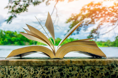 Close-up of open book on table