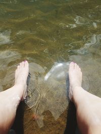 Low section of person legs in lake