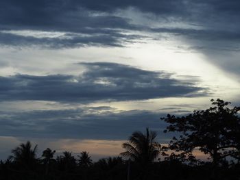 Low angle view of silhouette trees against sky