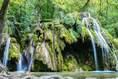 Scenic view of waterfall in forest