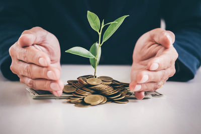 Midsection of businessman with sapling amidst coins at table