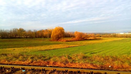 Scenic view of field against sky