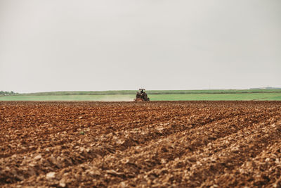 Scenic view of agricultural field against clear sky