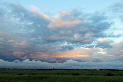 Scenic view of field against sky during sunset