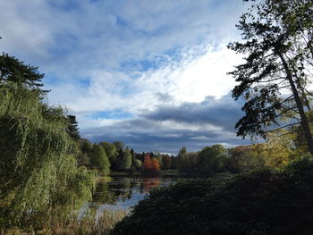 Scenic view of lake in forest against sky