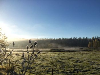 Scenic view of landscape against clear sky