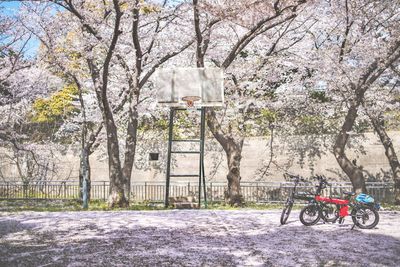 Low angle view of bicycle on street