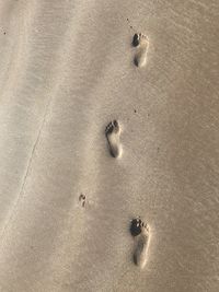 High angle view of footprints on sand