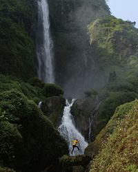 Scenic view of waterfall in forest