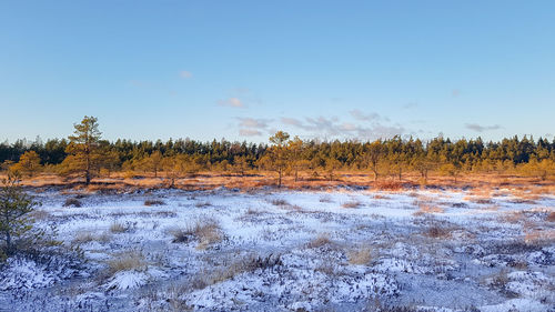 Scenic view of landscape against sky during winter