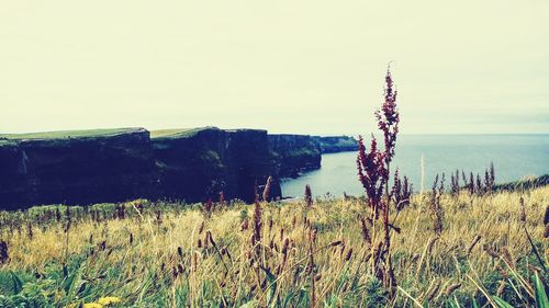 Scenic view of sea against clear sky