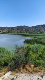 Scenic view of landscape against clear blue sky