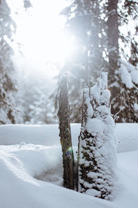 Snow covered wooden post on field during winter