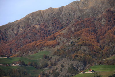 mountain