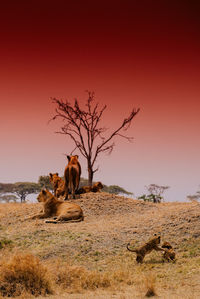 View of two people on hill