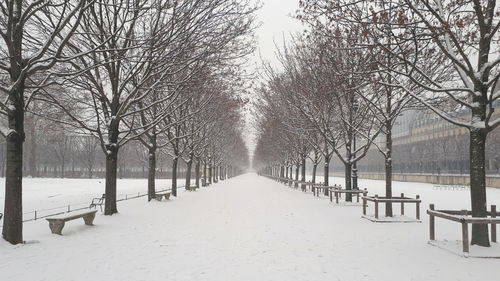 Bare trees on snow covered landscape against sky