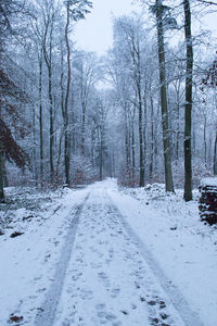 Snow covered road amidst trees during winter