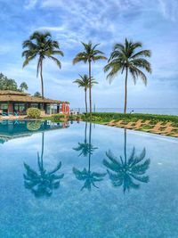 Palm trees by swimming pool against sky