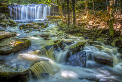 Scenic view of waterfall in forest