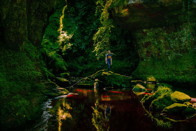 Full length of man standing on rock by lake in forest