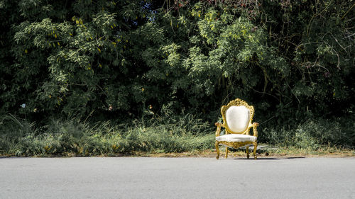 Empty white armchair on road against plants