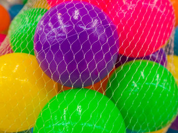 Close-up of multi colored leaf