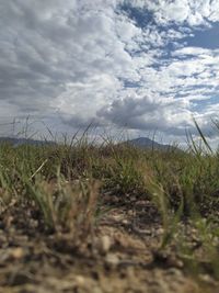 Surface level of land against sky