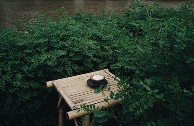 High angle view of coffee on table amidst plants