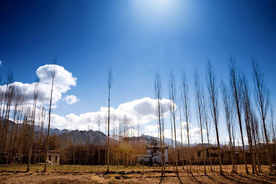 Scenic view of field against blue sky